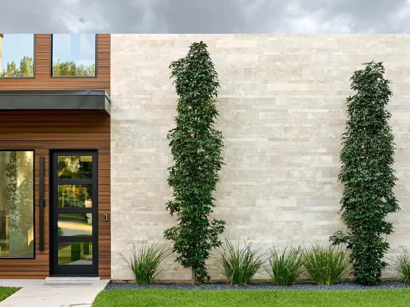 Natural Stone for Exterior Wall Cladding