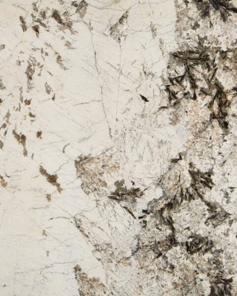 Alpine White Granite Close up