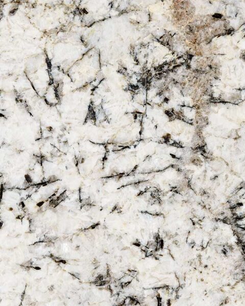 White Glimmer Granite Close Up