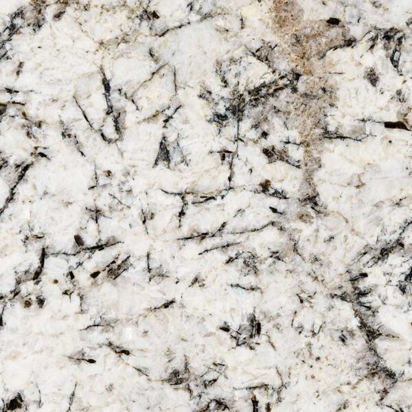 White Glimmer Granite Close Up